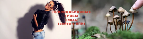 соль ск Верея