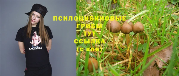 герыч Сосновоборск